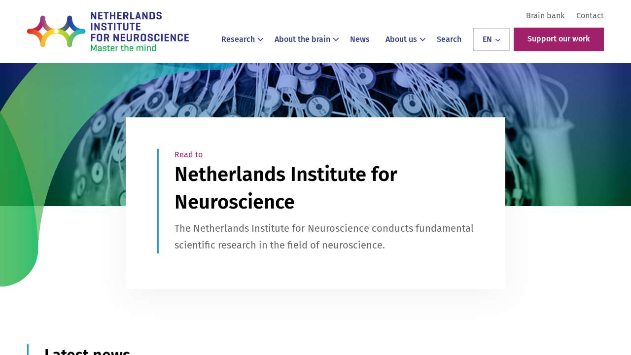 Screenshot of nin.nl