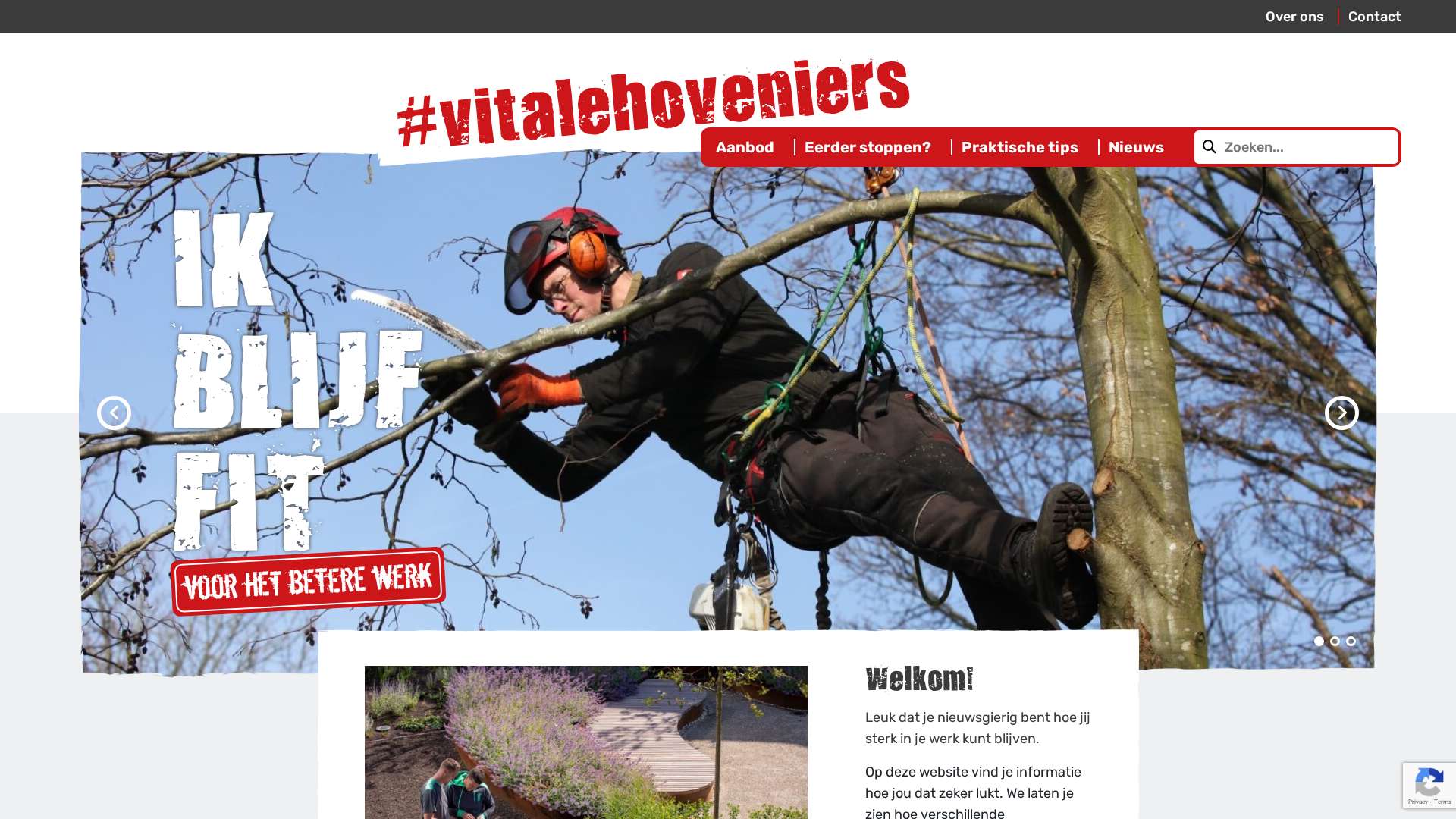 Screenshot of vitalehoveniers.nl