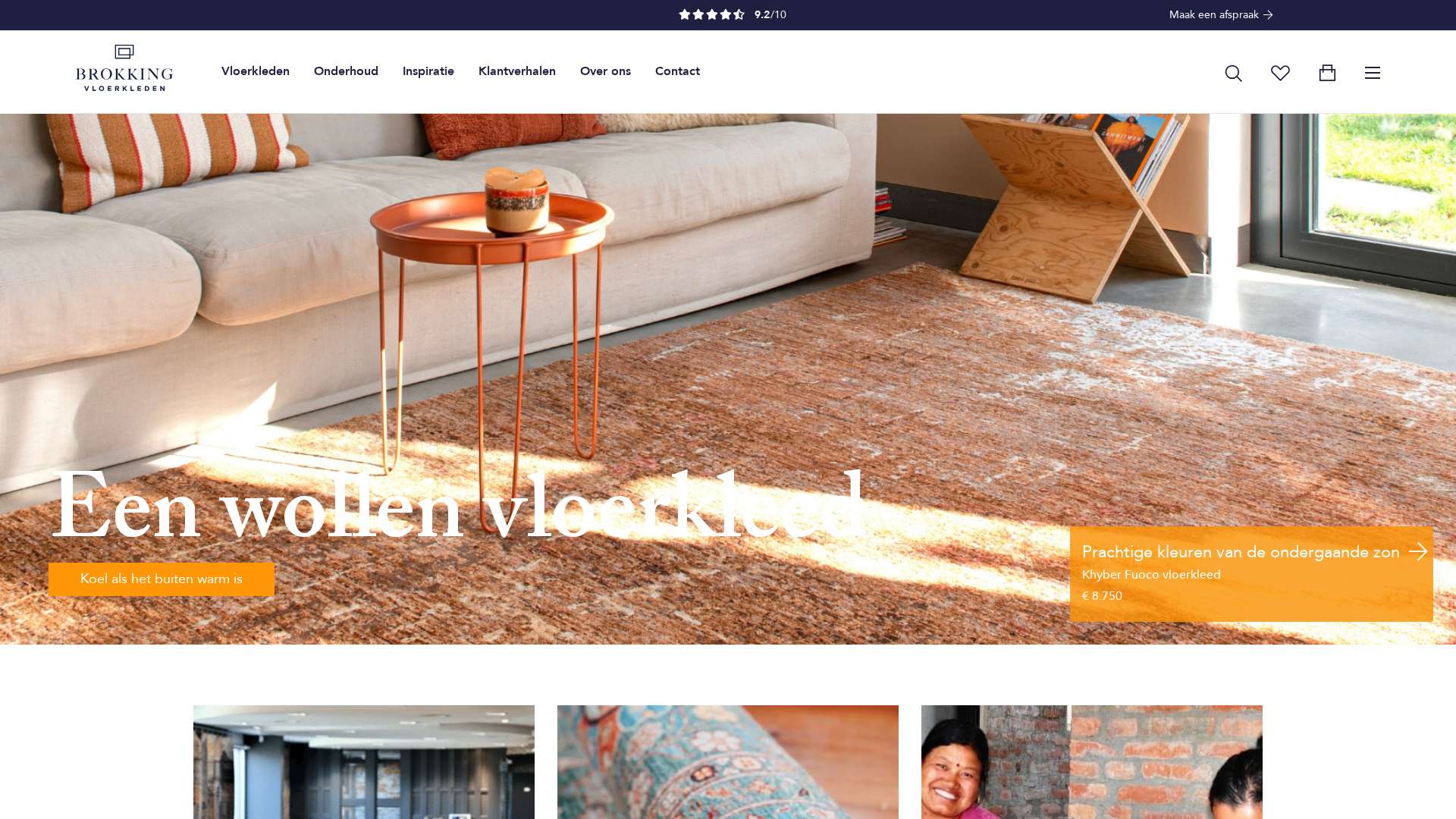 Screenshot of vloerkledenspecialist.nl